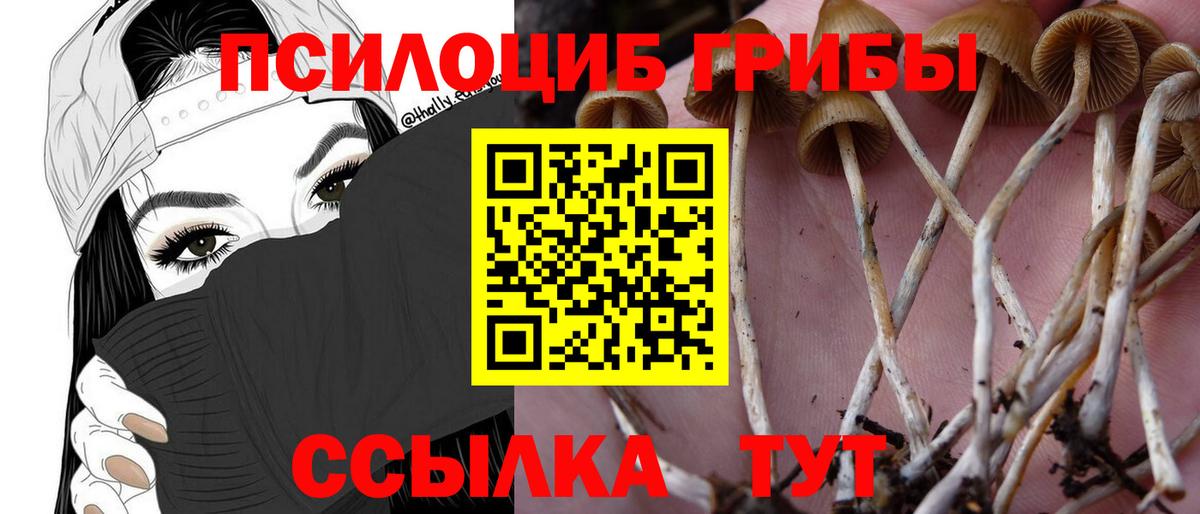 Галлюциногенные грибы мицелий  Вход с VPN  что такое наркотик  Копейск 